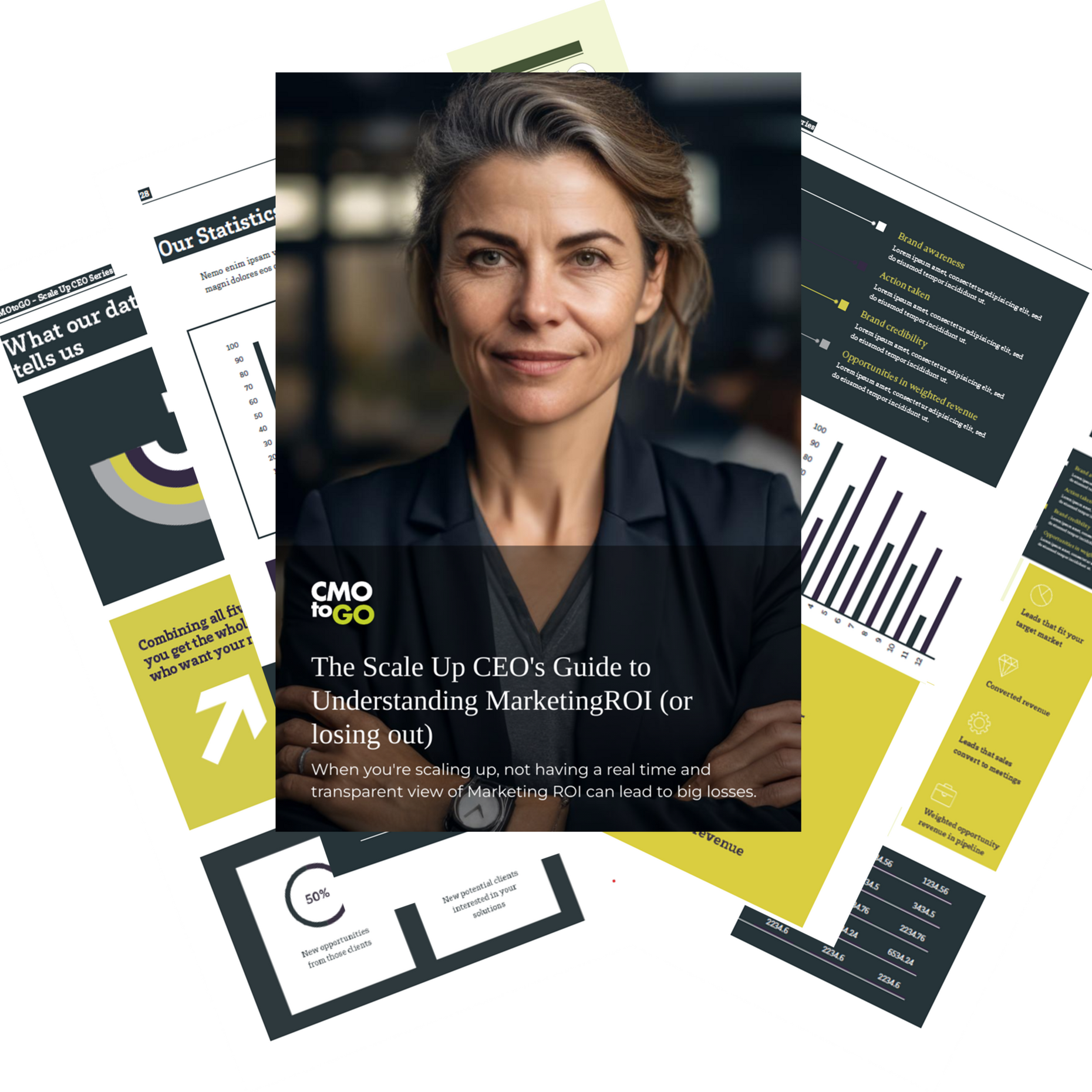 Scale Up CEO Guide: Understanding Marketing ROI