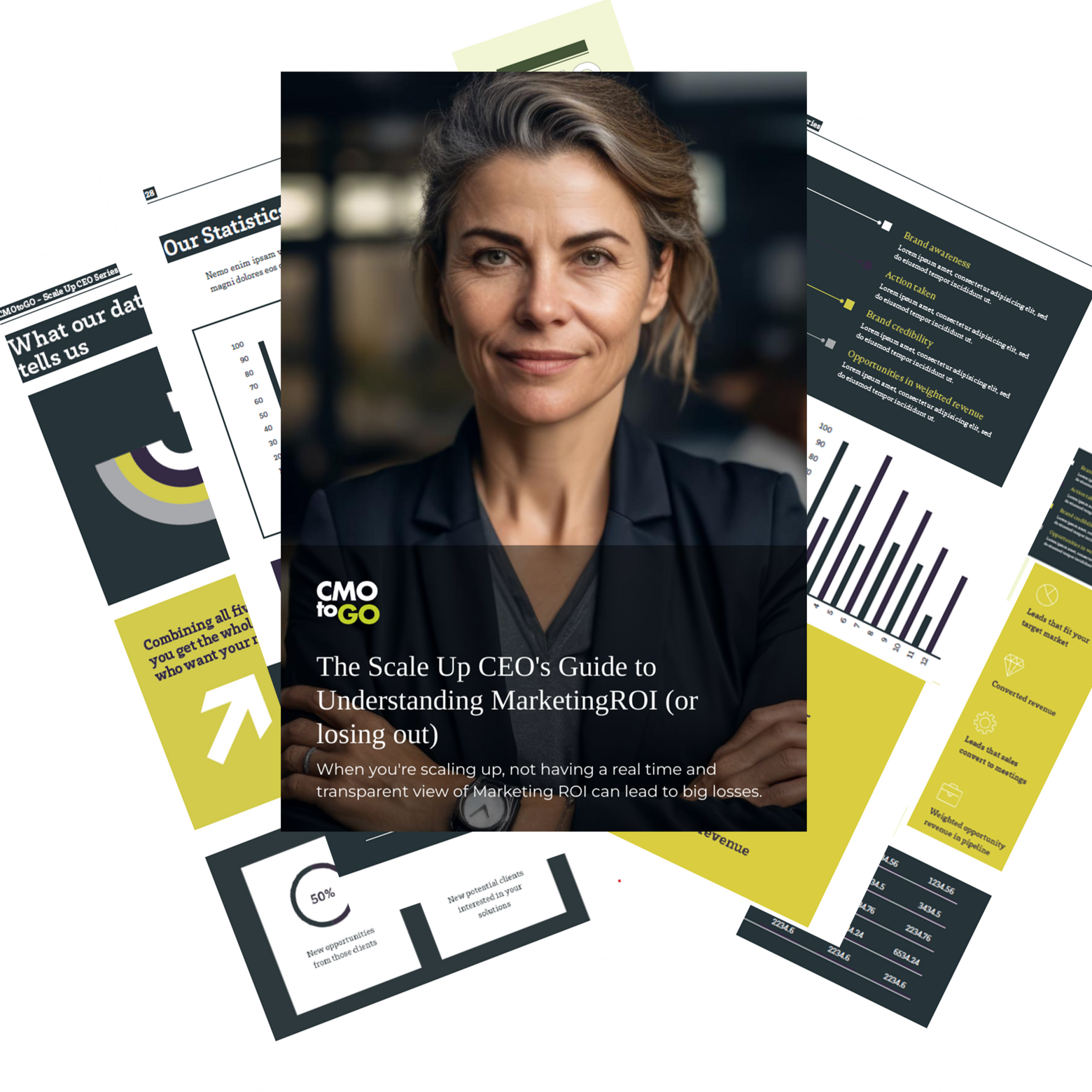 Scale Up CEO Guide: Understanding Marketing ROI